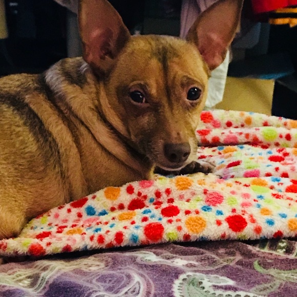 Meet your Posher, Krissy! - Picture 8 of 14